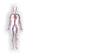 Vascular Surgeon Cape Town